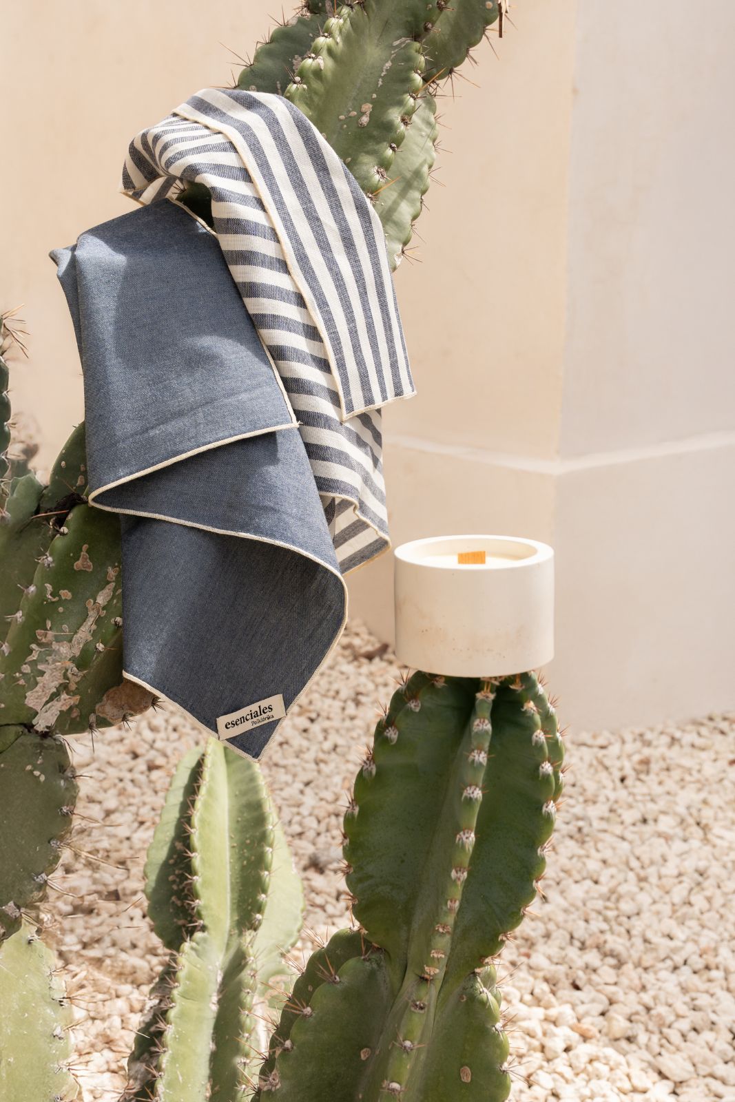 Kit Perfect Host — Edición Navidad